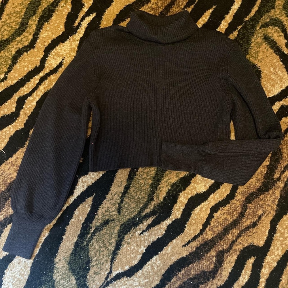 Aritzia Sweater